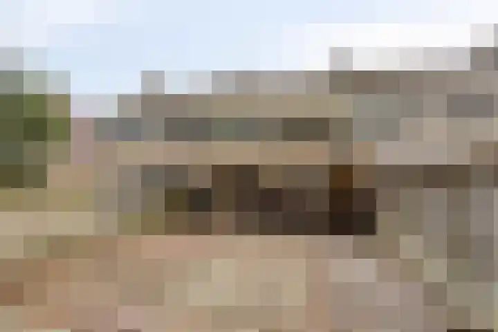 Christiaan Eberhardstraat 32 Bad Nieuweschans thumbnail 4