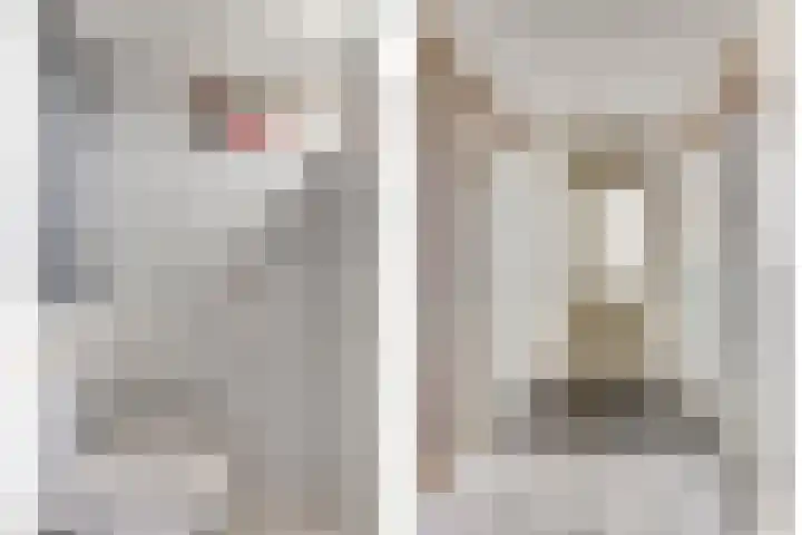 Christiaan Eberhardstraat 32 Bad Nieuweschans thumbnail 7