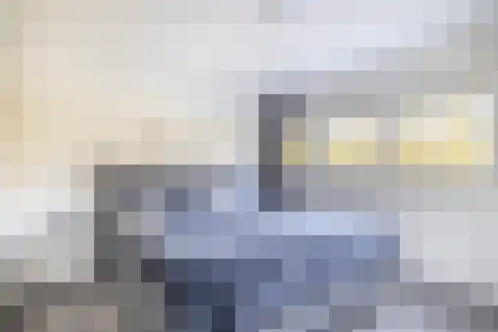 Christiaan Eberhardstraat 8 Bad Nieuweschans thumbnail 22