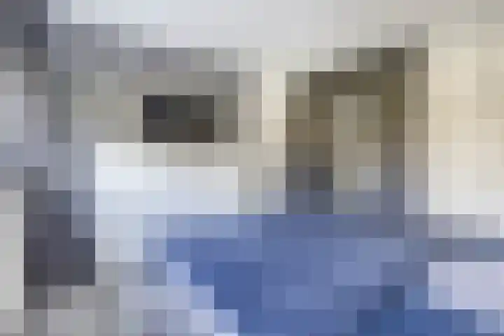Christiaan Eberhardstraat 8 Bad Nieuweschans thumbnail 23
