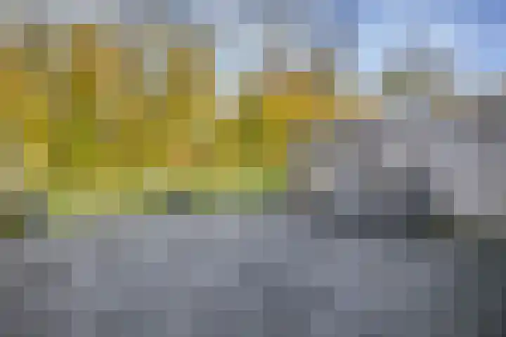 Christiaan Eberhardstraat 8 Bad Nieuweschans thumbnail 34