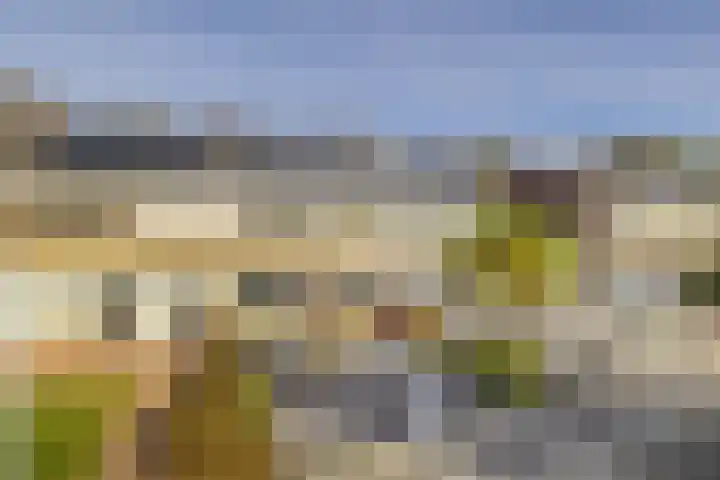 Christiaan Eberhardstraat 8 Bad Nieuweschans thumbnail 36