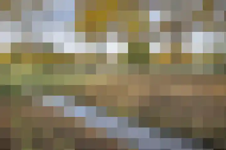 Christiaan Eberhardstraat 8 Bad Nieuweschans thumbnail 43