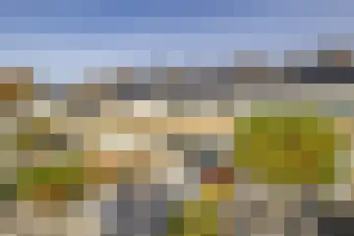 Christiaan Eberhardstraat 8 Bad Nieuweschans thumbnail 6