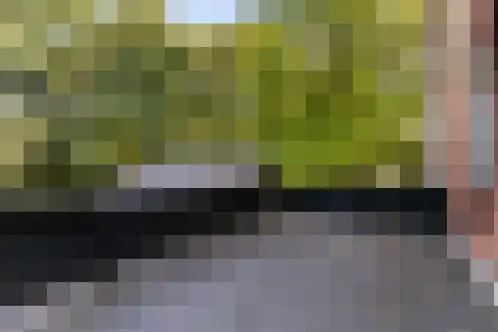 Christiaan Geurtsweg 32 Apeldoorn thumbnail 18