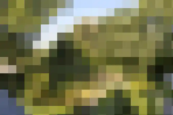 Christiaan Geurtsweg 32 Apeldoorn thumbnail 20