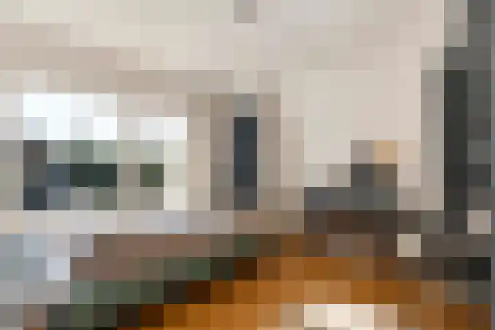 Christiaan Geurtsweg 32 Apeldoorn thumbnail 21
