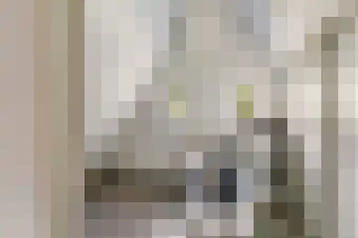 Christiaan Geurtsweg 32 Apeldoorn thumbnail 27