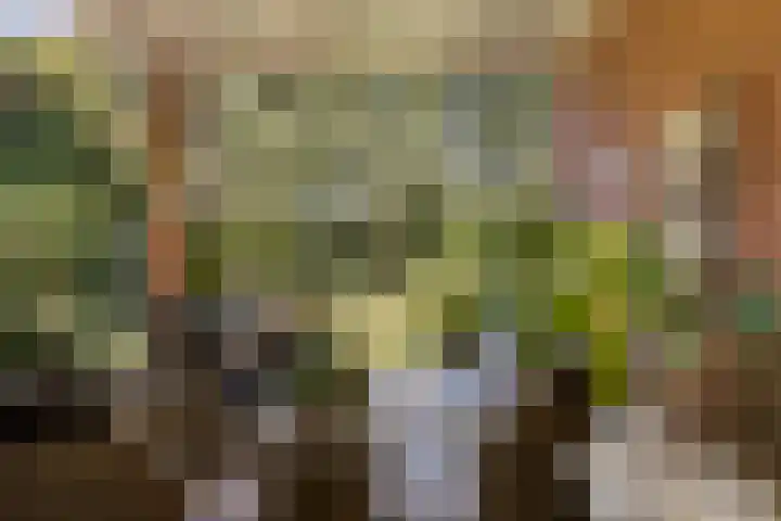 Christiaan Geurtsweg 32 Apeldoorn thumbnail 29