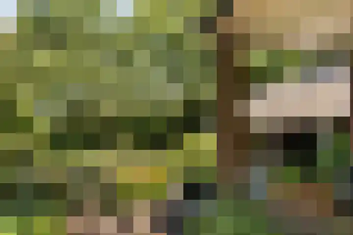 Christiaan Geurtsweg 32 Apeldoorn thumbnail 30
