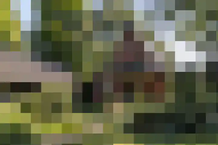 Christiaan Geurtsweg 32 Apeldoorn thumbnail 31