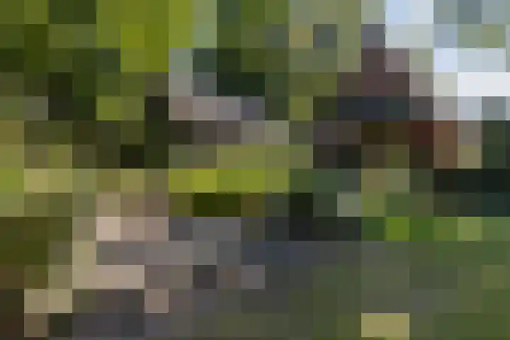Christiaan Geurtsweg 32 Apeldoorn thumbnail 32