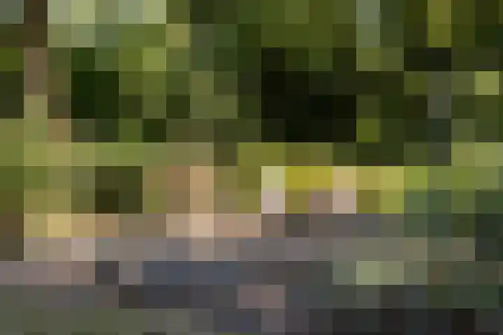 Christiaan Geurtsweg 32 Apeldoorn thumbnail 33