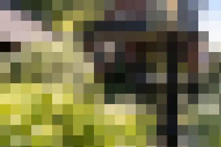 Christiaan Geurtsweg 32 Apeldoorn thumbnail 34