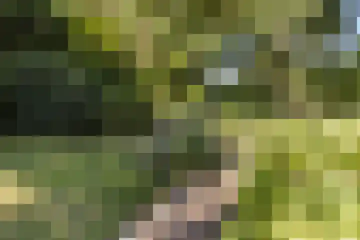 Christiaan Geurtsweg 32 Apeldoorn thumbnail 35