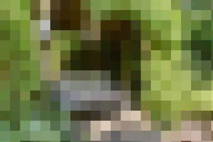 Christiaan Geurtsweg 32 Apeldoorn thumbnail 36