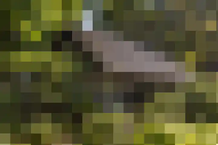 Christiaan Geurtsweg 32 Apeldoorn thumbnail 37