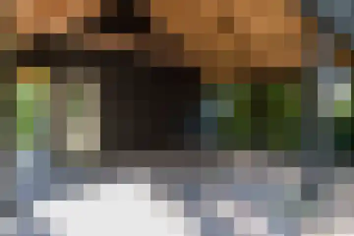 Christiaan Geurtsweg 32 Apeldoorn thumbnail 38