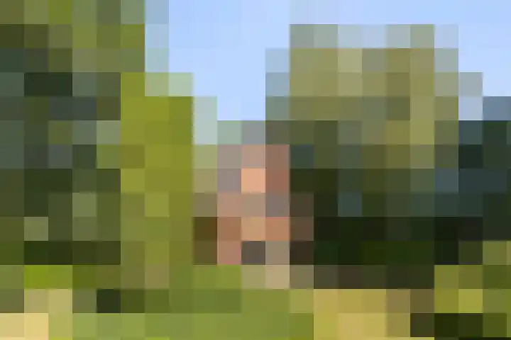 Christiaan Geurtsweg 32 Apeldoorn thumbnail 40