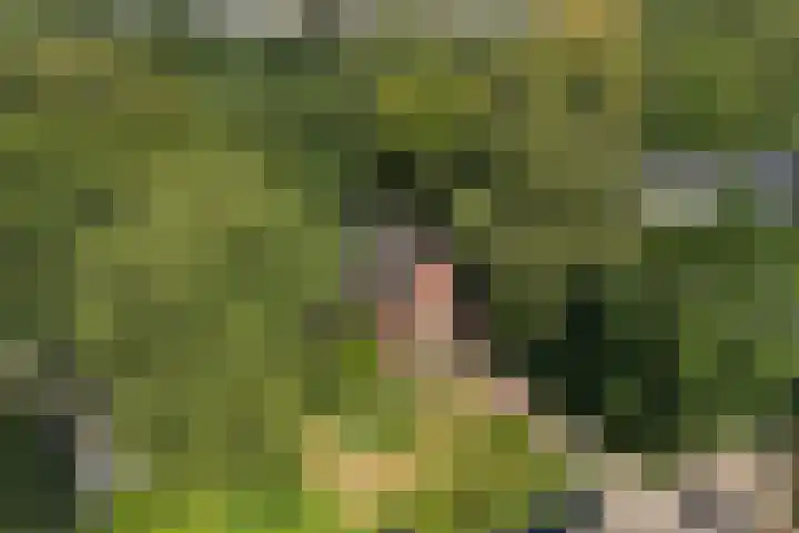 Christiaan Geurtsweg 32 Apeldoorn thumbnail 43
