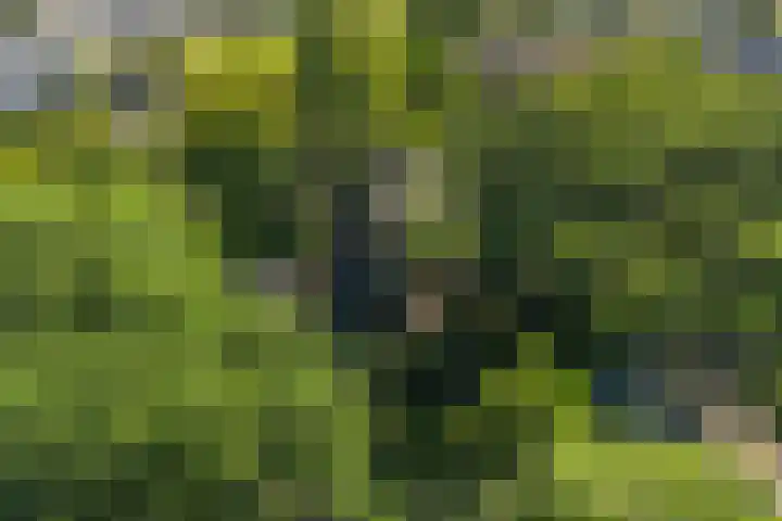 Christiaan Geurtsweg 32 Apeldoorn thumbnail 44