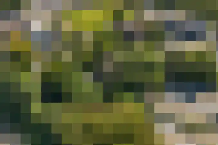 Christiaan Geurtsweg 32 Apeldoorn thumbnail 45