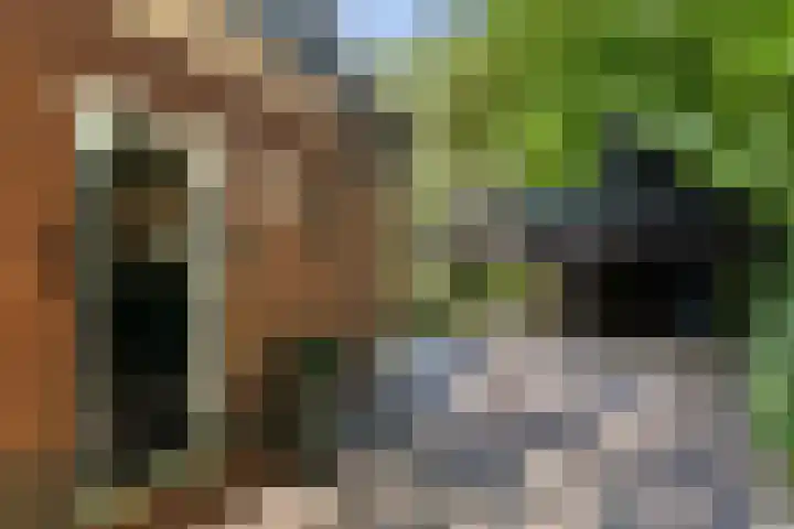 Christiaan Geurtsweg 32 Apeldoorn thumbnail 5