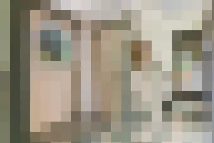 Christiaan Geurtsweg 32 Apeldoorn thumbnail 6