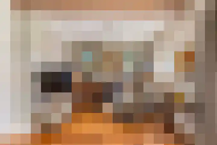 Christiaan Geurtsweg 32 Apeldoorn thumbnail 9