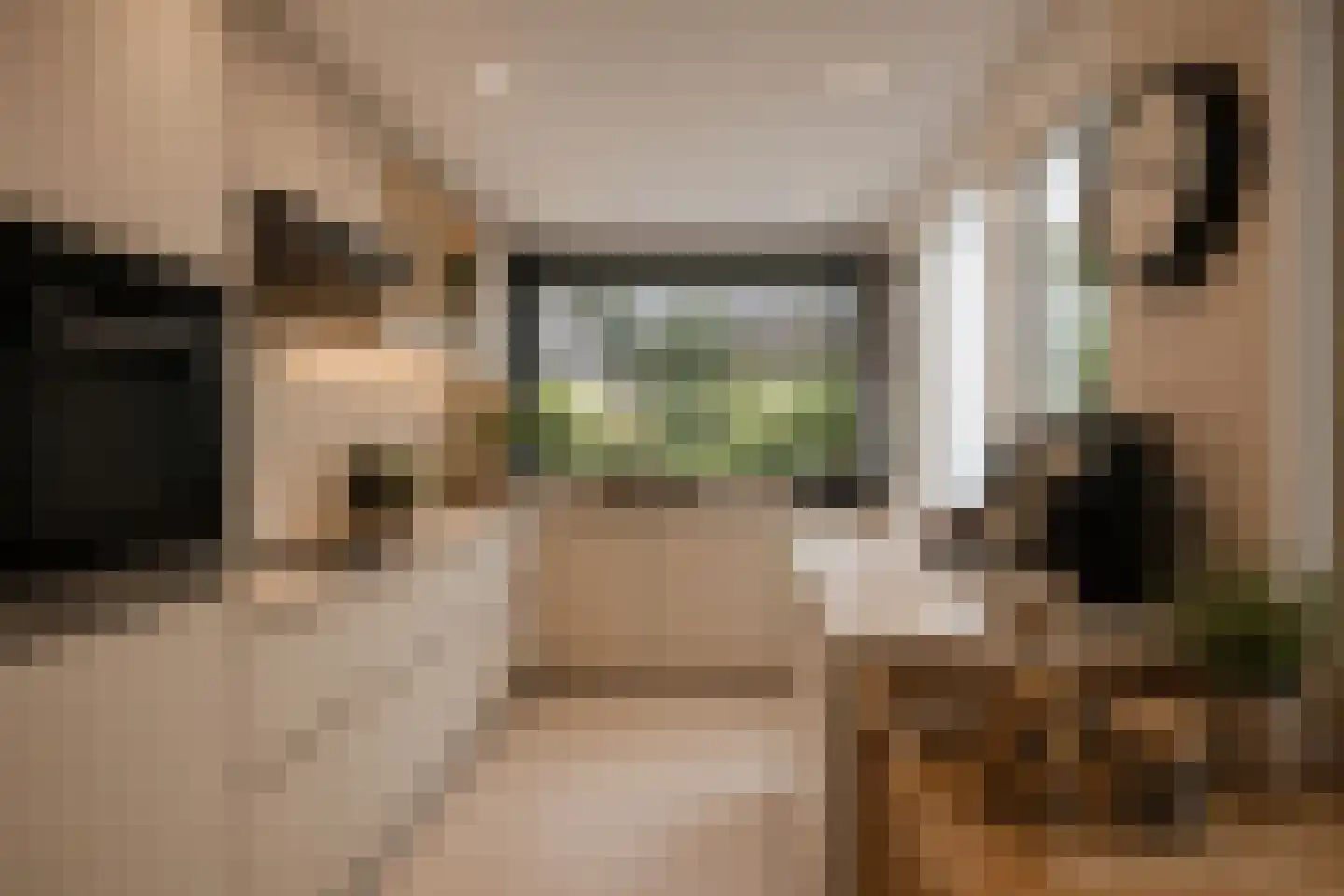 Christiaan Huygenslaan 100 Soesterberg thumbnail 10