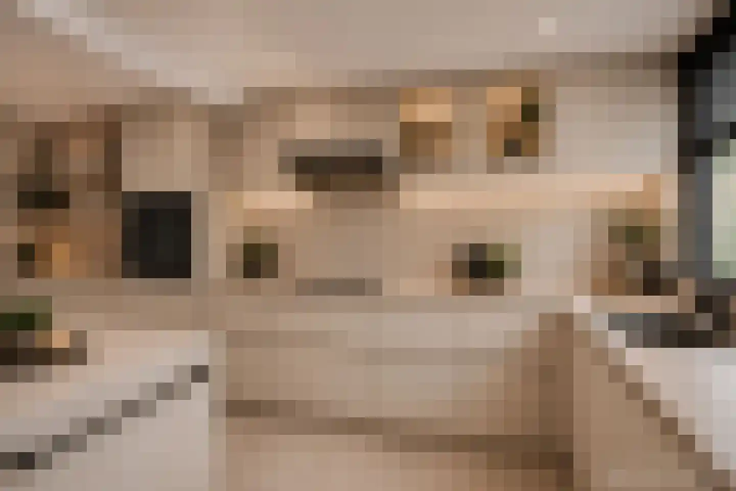 Christiaan Huygenslaan 100 Soesterberg thumbnail 12
