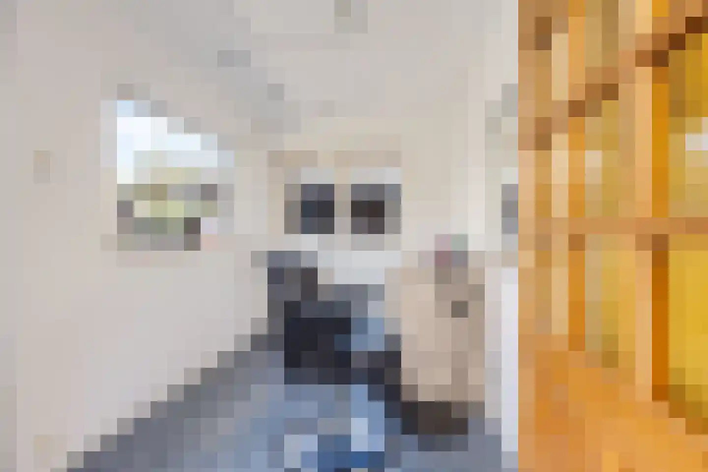 Christiaan Huygenslaan 100 Soesterberg thumbnail 17