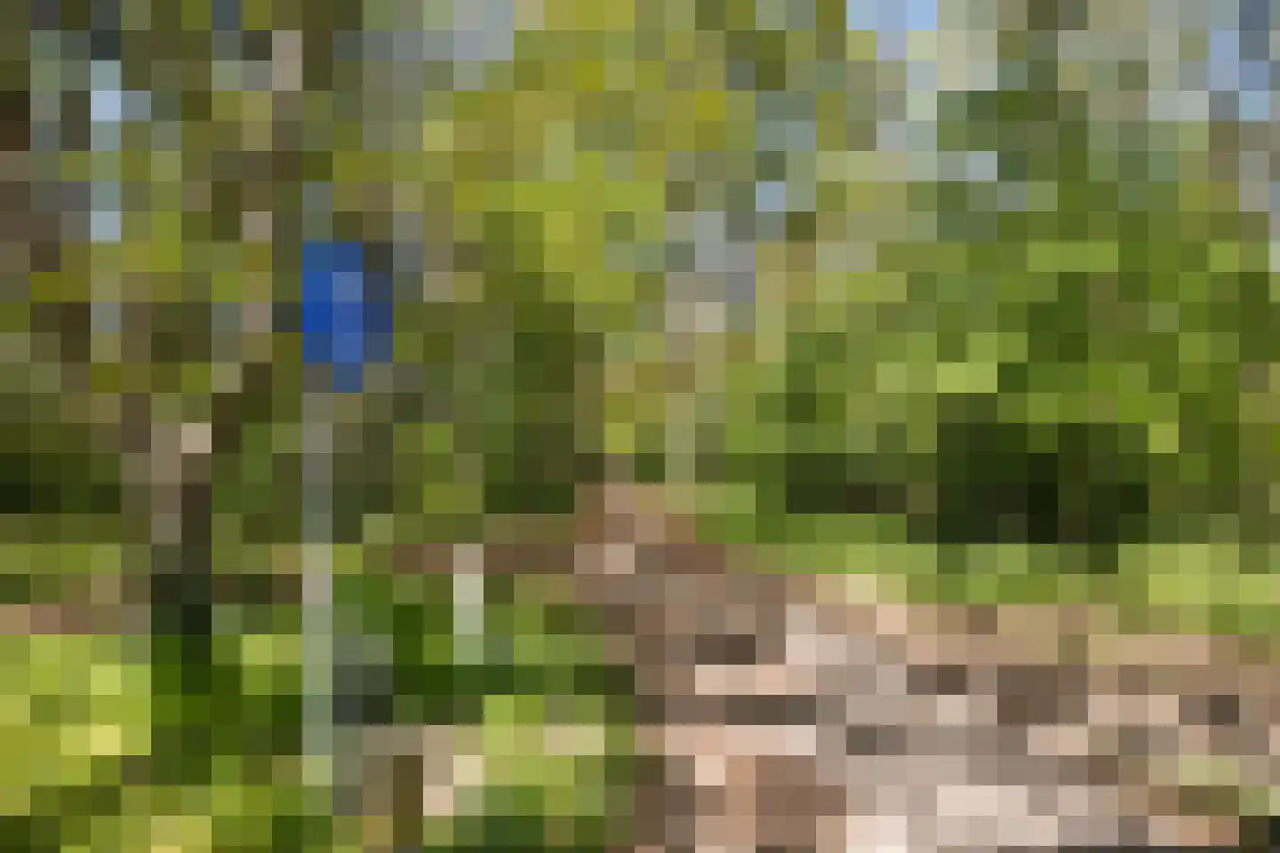 Christiaan Huygenslaan 100 Soesterberg thumbnail 33