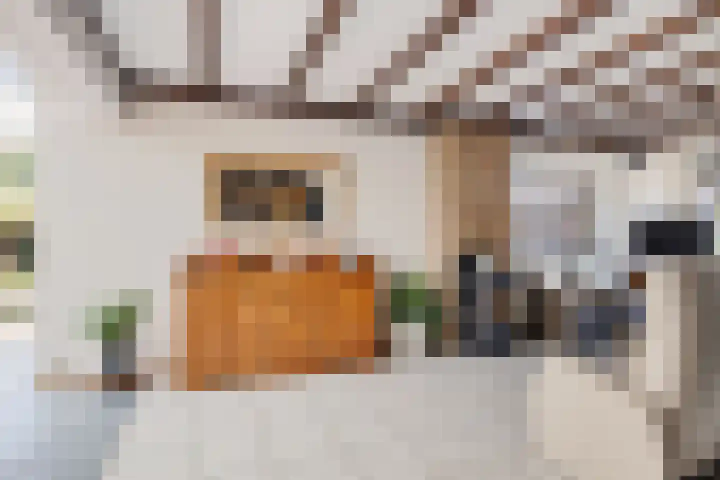 Christiaan Huygenslaan 100 Soesterberg thumbnail 7