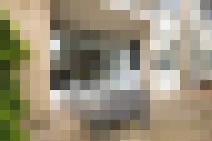 Christiaan Huygenslaan 147 Soesterberg thumbnail 8