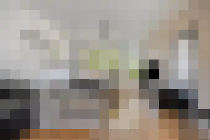 Christiaan Huygenslaan 153 Soesterberg thumbnail 10