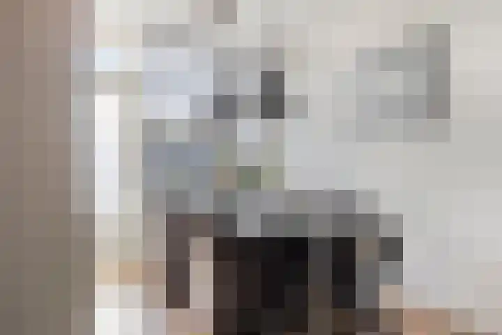 Christiaan Huygenslaan 153 Soesterberg thumbnail 13