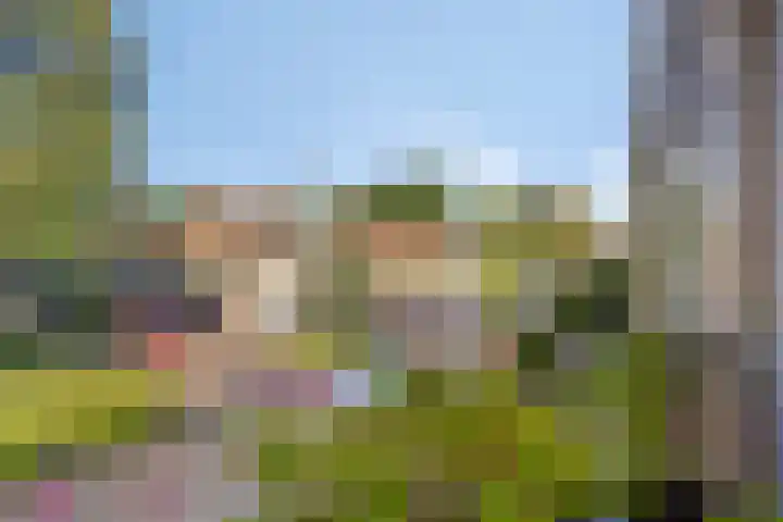 Christiaan Huygenslaan 153 Soesterberg thumbnail 21