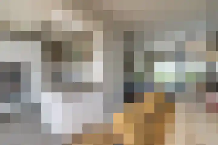 Christiaan Huygenslaan 16 Spijkenisse thumbnail 13