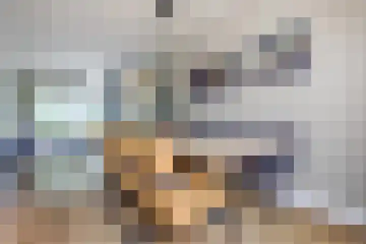 Christiaan Huygenslaan 16 Spijkenisse thumbnail 14
