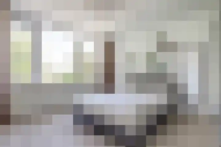 Christiaan Huygenslaan 16 Spijkenisse thumbnail 19