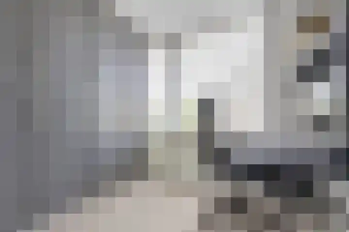 Christiaan Huygenslaan 16 Spijkenisse thumbnail 20