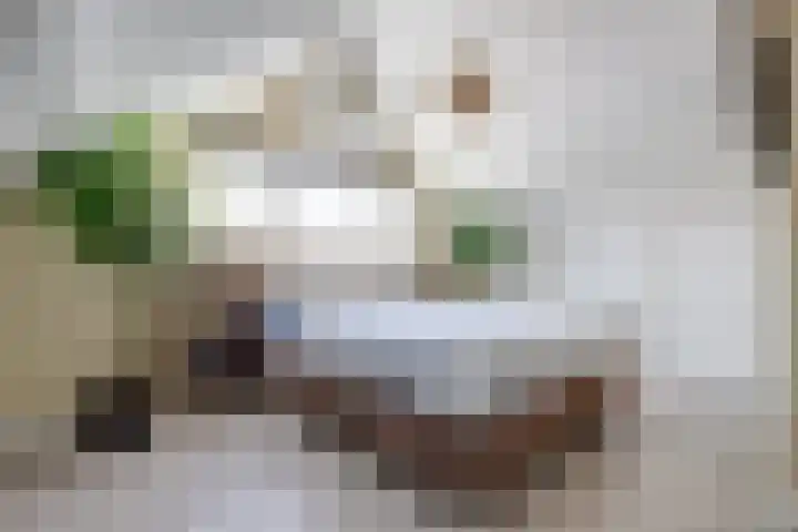 Christiaan Huygenslaan 16 Spijkenisse thumbnail 22