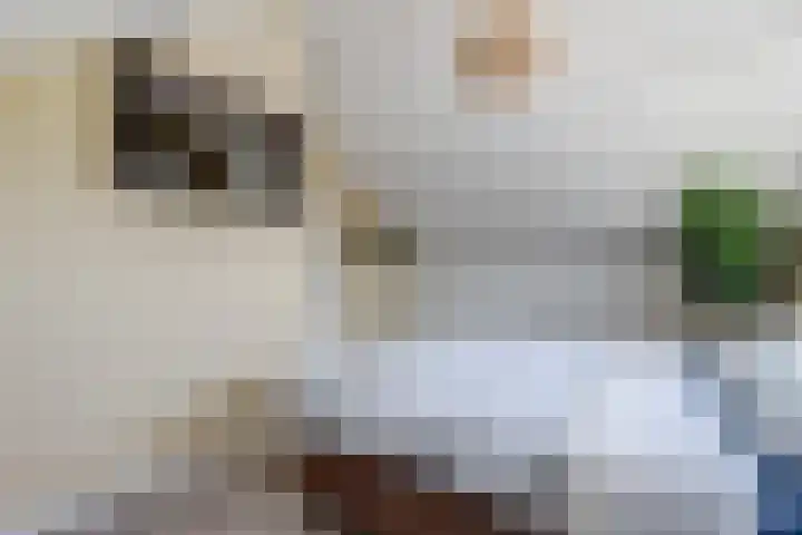 Christiaan Huygenslaan 16 Spijkenisse thumbnail 23