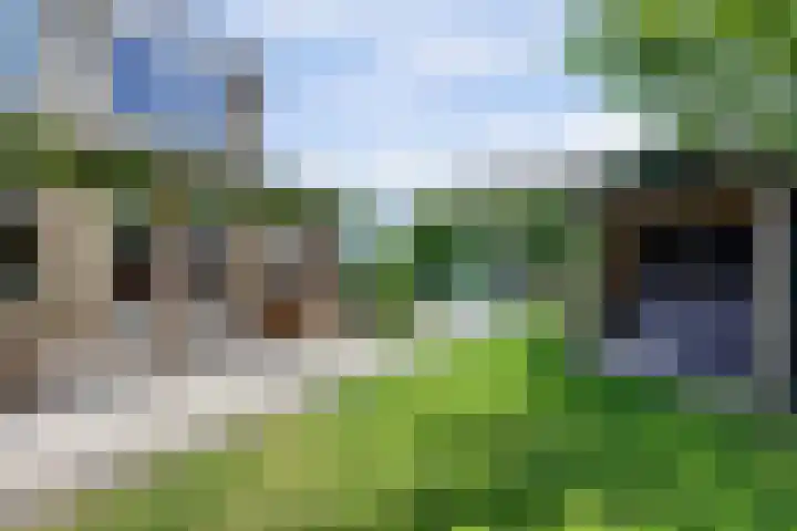Christiaan Huygenslaan 16 Spijkenisse thumbnail 26