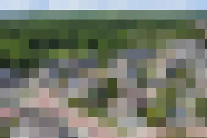 Christiaan Huygenslaan 16 Spijkenisse thumbnail 31