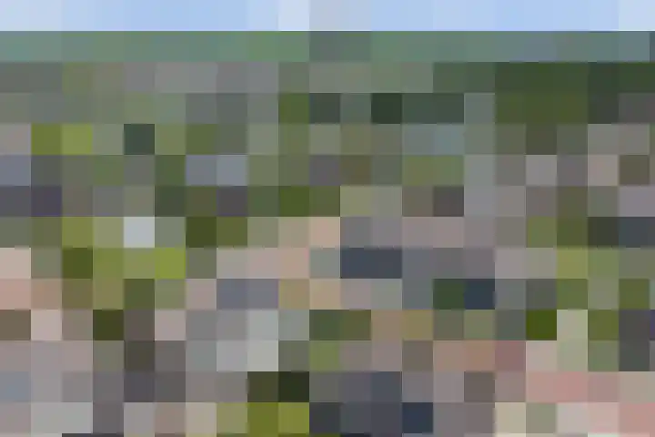 Christiaan Huygenslaan 16 Spijkenisse thumbnail 34