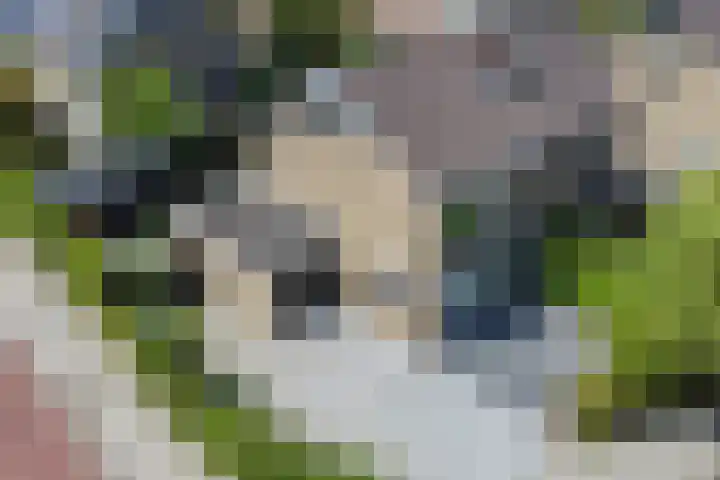 Christiaan Huygenslaan 16 Spijkenisse thumbnail 4