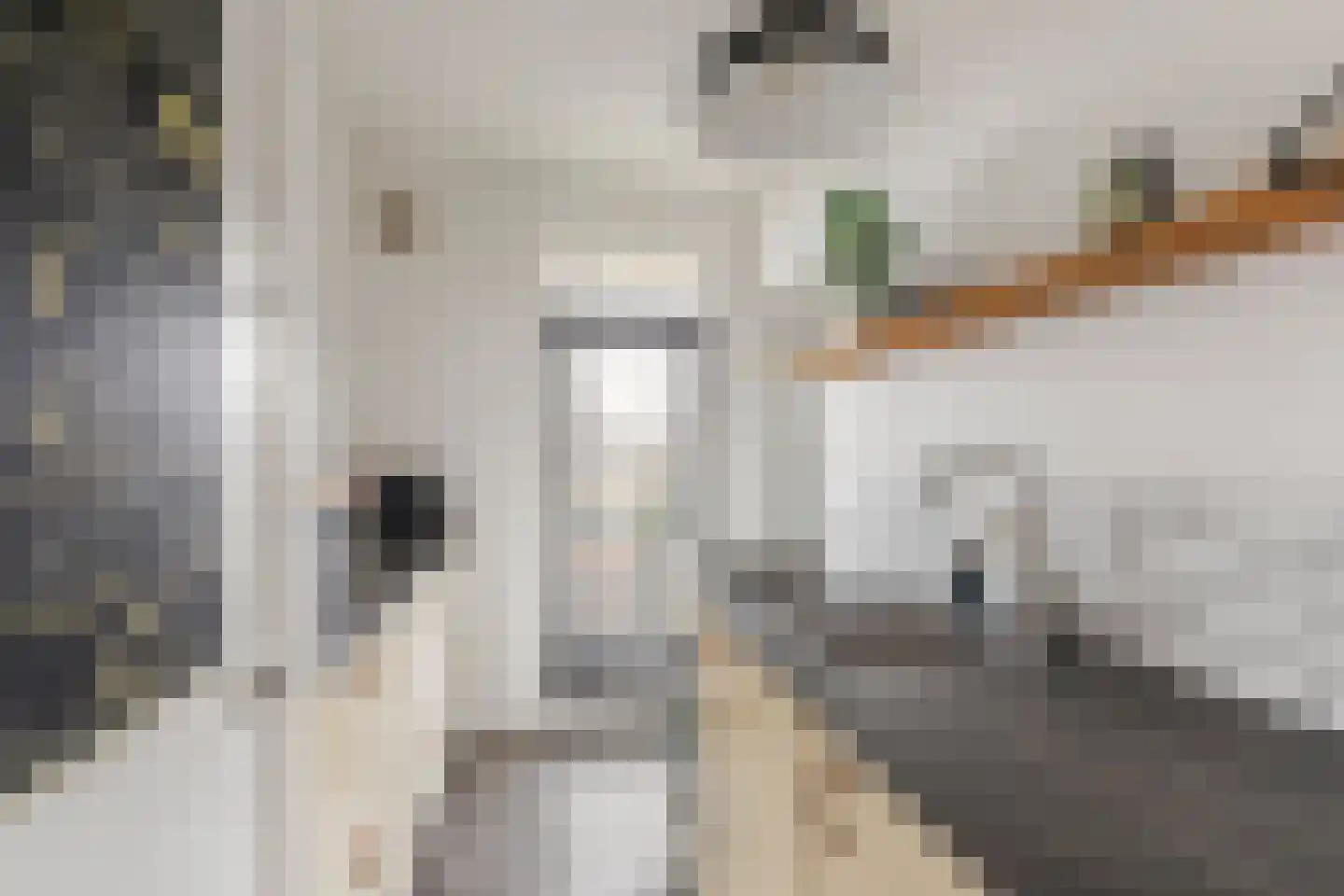 Christiaan Huygenslaan 24 I Hengelo (OV) thumbnail 13