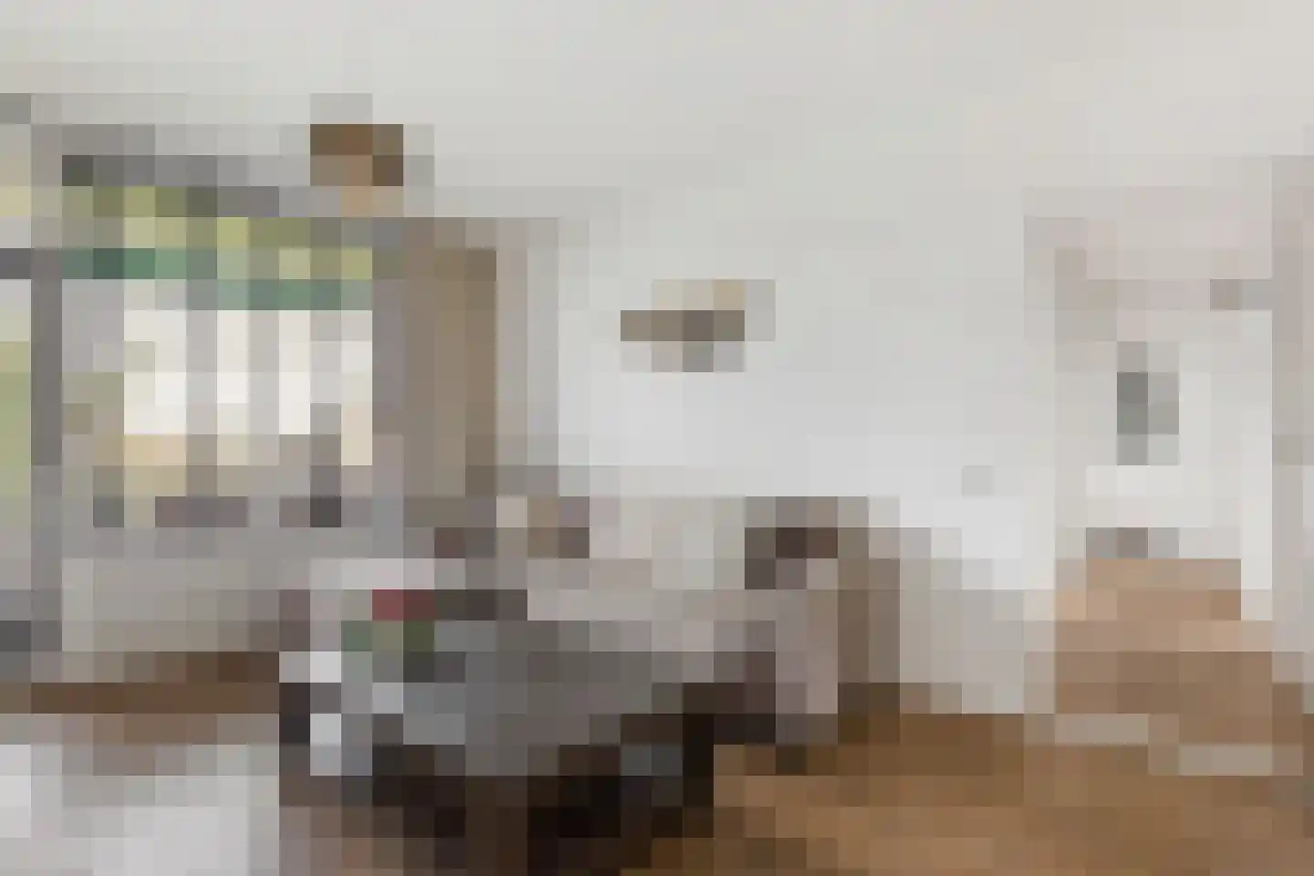 Christiaan Huygenslaan 24 I Hengelo (OV) thumbnail 6